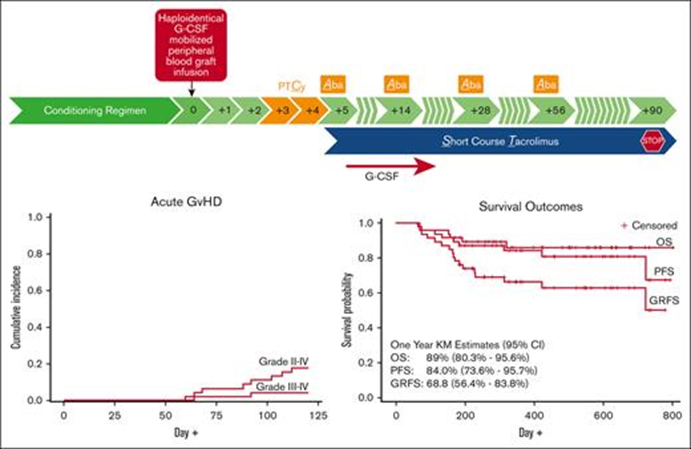 CAST GVHD prophylaxis regimen results